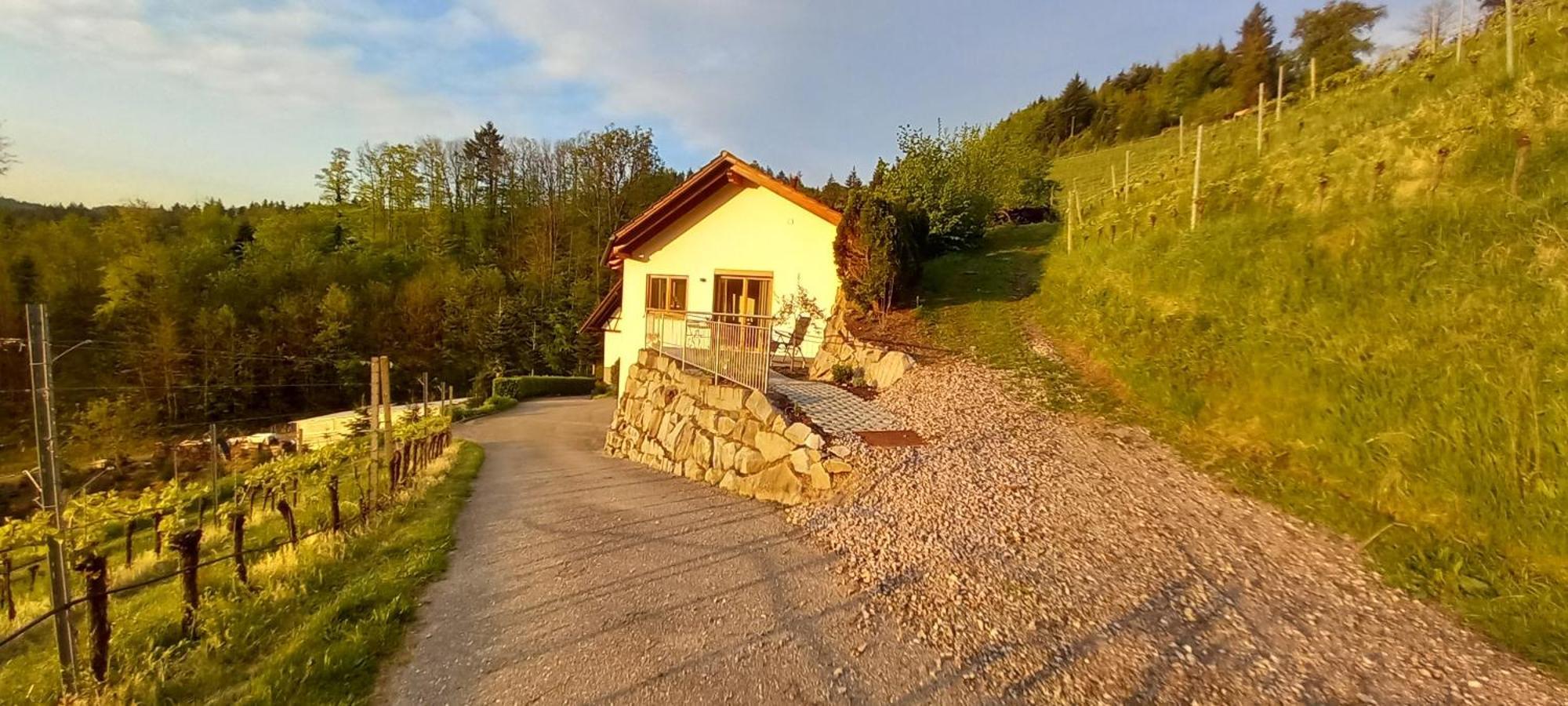 Schwarzwaldglueck Leilighet Oberkirch  Eksteriør bilde